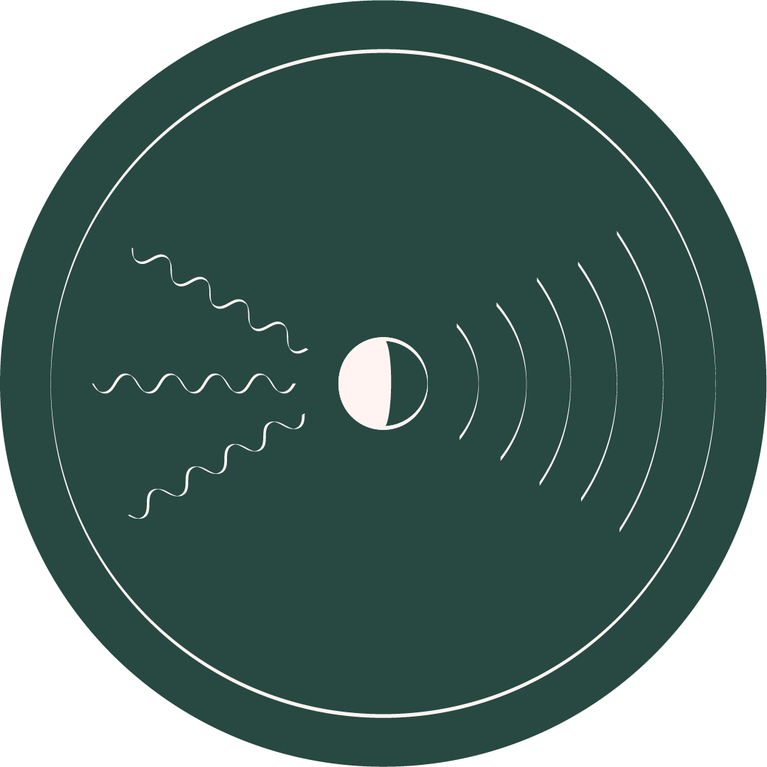 Ep. 5 - Guided Sound Meditation — Sonic Institute